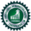 Profissional de Marketing Digital